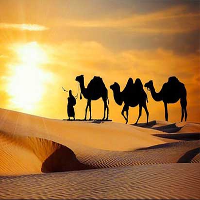 Private driver in Shimla